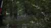 _dsc8398_small.jpg