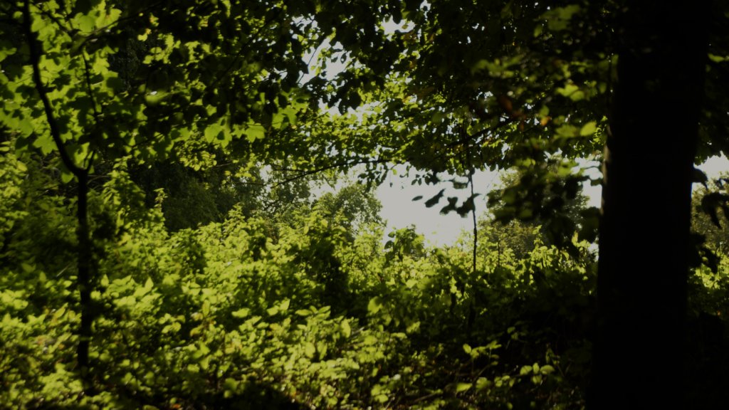 _dsc8401.jpg