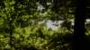 _dsc8401_small.jpg