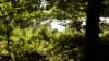 _dsc8402_small.jpg