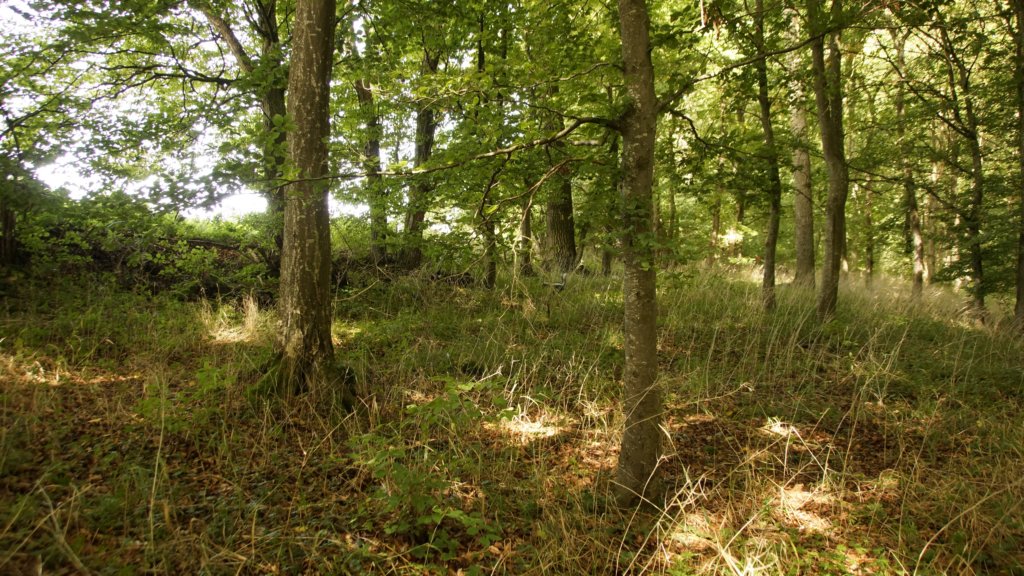 _dsc8433.jpg