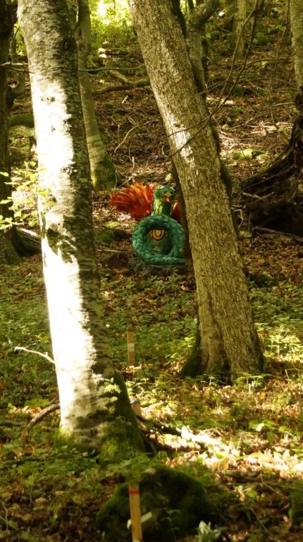 _dsc8444.jpg