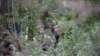 _dsc8589_small.jpg