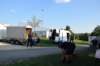 dsc_0049_small.jpg