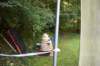 dsc_0026_small.jpg
