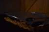 dsc_0031_small.jpg